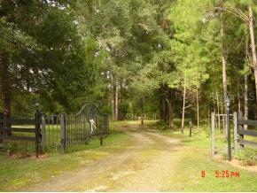 18727 NW 160 Ave., Williston, FL 32696