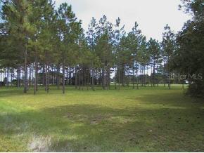 10221 SW 122nd Street, Gainesville, FL 32608