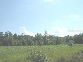 Perry Rd, Hawthorne, FL 32640