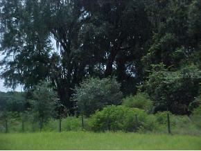 [Address Unavailable], Gainesville, FL 32606