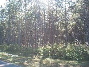 LOT20 Santa Fe Forest, Alachua, FL 32616