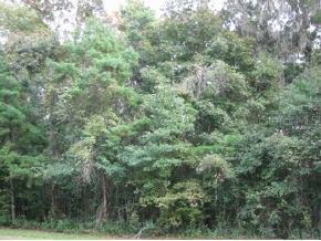 6500 NW 90th Street, Gainesville, FL 32653