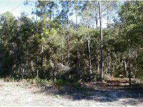 106 Arrowhead Point Rd. Rd., Hawthorne, FL 32640