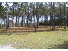 10313 SW 122nd Street St., Gainesville, FL 32608