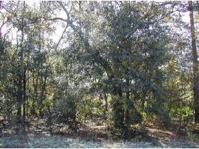 109 Mimosa Dr., Hawthorne, FL 32640