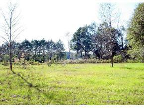 3915 NW 177th Avenue Ave., Gainesville, FL 32609