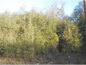 1926 S.r. 20, Hawthorne, FL 32640