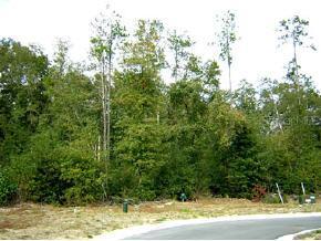 1252 NW 50th Dr., Gainesville, FL 32607