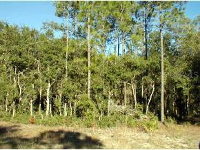 103 Juniper Dr., Hawthorne, FL 32640