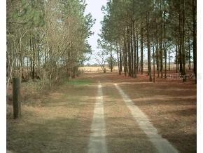 27910 SW 118th Pl, Newberry, FL 32669