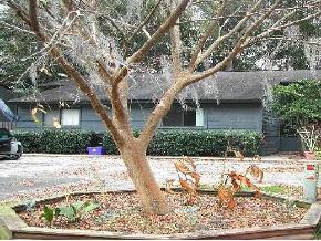 3833 SW 28th Terr, Gainesville, FL 32608