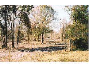 NE Cr 1469, Melrose, FL 32631