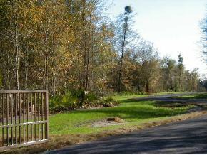 SW 20th Terrace Lot 2, Micanopy, FL 32667