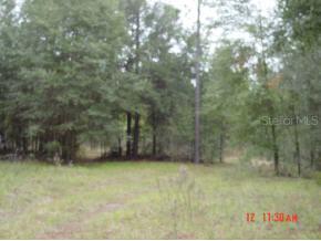 000 NE 75th Street, Williston, FL 32696