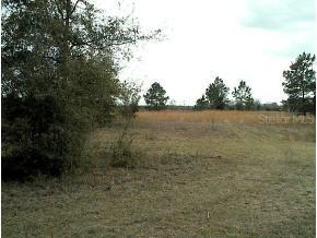 29303 SW 30th Ave., Newberry, FL 32669