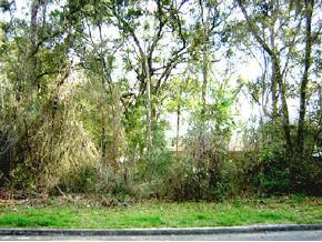 4133 SW 15th Pl., Gainesville, FL 32607