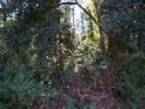 NW 55 Blvd., Gainesville, FL 32605