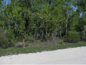 [Address Hidden by Seller], Archer, FL 32618