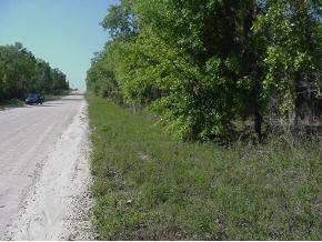 [Address Hidden by Seller], Archer, FL 32618