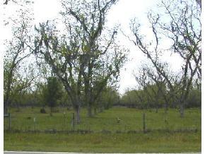 926 SE 163 St., Hawthorne, FL 32640