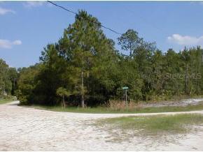 117 Pats Point Ct., Hawthorne, FL 32640