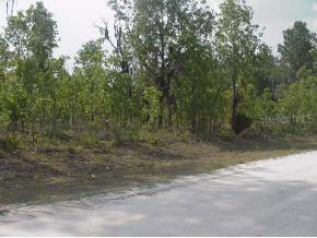 [Address Hidden by Seller], Archer, FL 32618