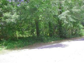 2263 NE 4th Ave., Gainesville, FL 32641