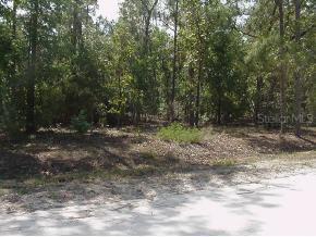 [Address Hidden by Seller], Archer, FL 32618