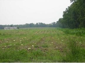 5323 NW 234th St., Newberry, FL 32669