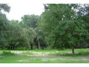 437 SW Wise Dr., Lake City, FL 32025