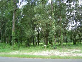 228 SW Melba Glen Rd., Lake City, FL 32024