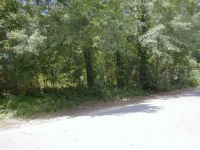 2505 NE 70th St., Gainesville, FL 32609