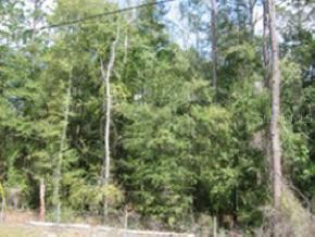 [Address Hidden by Seller], Gainesville, FL 32606
