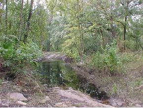 10982 NE Sr 26, Gainesville, FL 32641