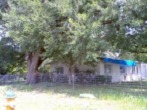 1206 NE 19th Pl., Gainesville, FL 32609