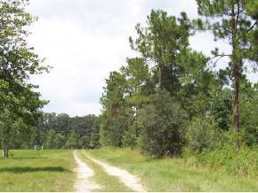 SW 53rd St., Worthington Springs, FL 32697