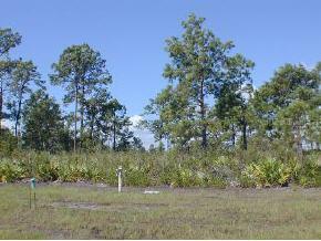 1042 Cedar Cove Dr., St Augustine, FL