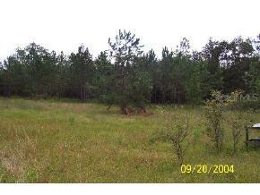 NE 72nd Court, Newberry, FL 32669