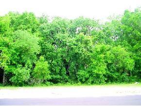 23562 NW 3rd Avenue Ave., Newberry, FL 32669