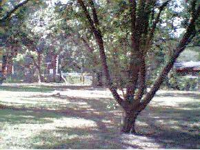 657 NE 16th Ter., Gainesville, FL 32641