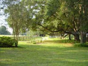 6104 SW 202 St., Newberry, FL 32669