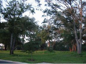 3265 SW 34th St., Gainesville, FL 32607