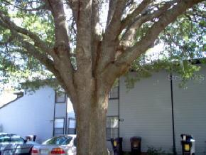 4415 SW 20th Ln., Gainesville, FL 32607