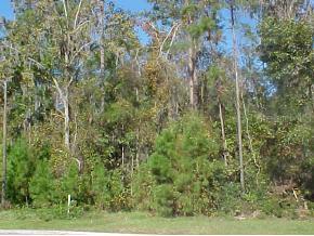 7222 NW 43rd Ln., Gainesville, FL 32606