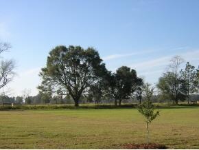 00 SE 100 Pl., Trenton, FL 32693