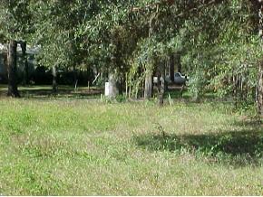 N Grant St, Gainesville, FL 99999