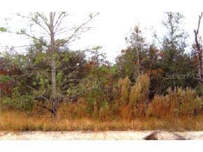 [Address Hidden by Seller], Williston, FL 32696