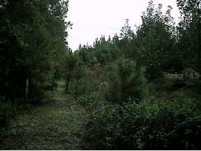 26619 NW Cr 239, Alachua, FL 32615