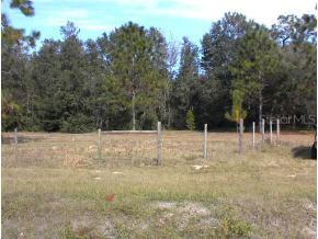 0000 SW 179th Pl., Archer, FL 32601