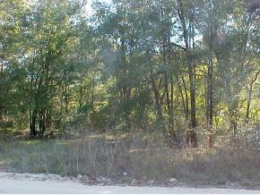 NW 226th St., Newberry, FL 32669